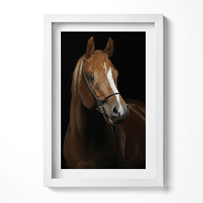 Keretezett kép Kifinomult lóportré