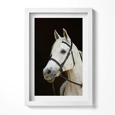 Keretezett kép Fehér ló portréja