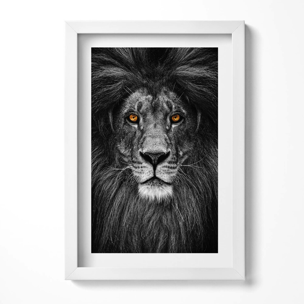 Keretezett kép Fekete-fehér oroszlánportré