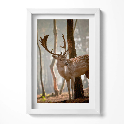 Keretezett kép Szarvas az erdőben