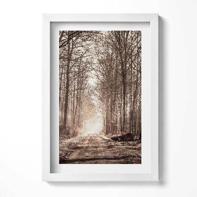 Keretezett kép Fás út napfényes táj