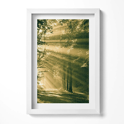 Keretezett kép Fényárban úszó erdei ösvény