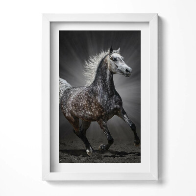 Keretezett kép Futó ló fényes háttérrel