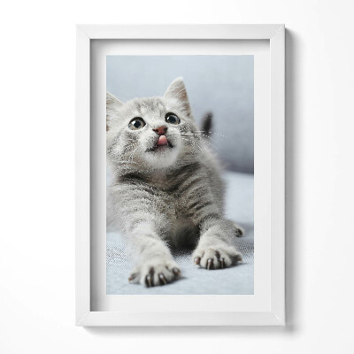 Keretezett kép Cuki nyújtózó macska