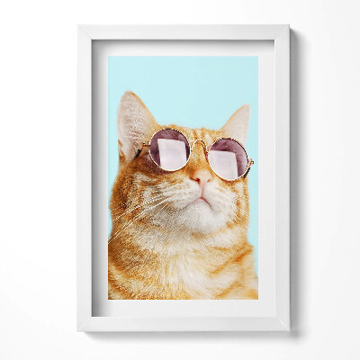 Keretezett kép Cicás napszemüveges portré