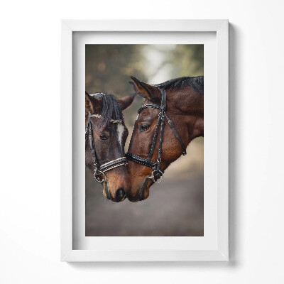 Keretezett kép Két ló összeborulása
