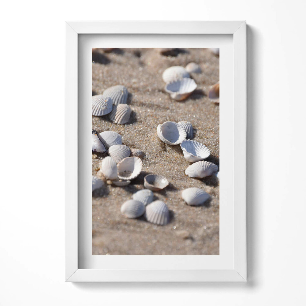 Keretezett kép Héjhéjak tengerparti homokban