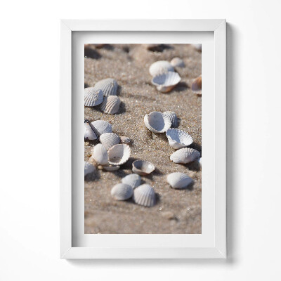 Keretezett kép Héjhéjak tengerparti homokban