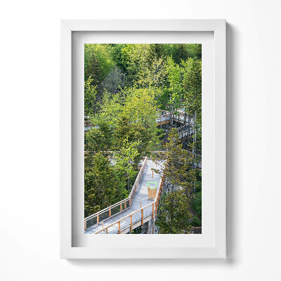 Keretezett kép Zöld fák és fapalló