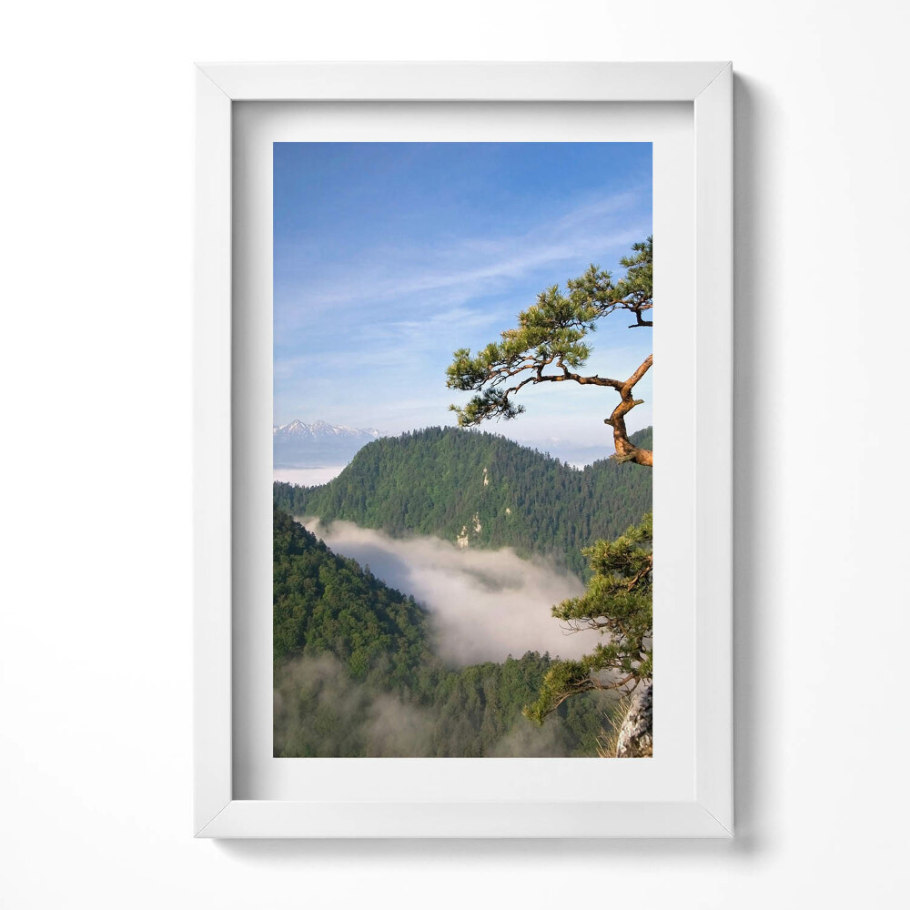 Keretezett kép Hegyek és fák ködben