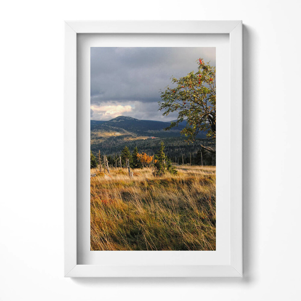 Keretezett kép Hegyek és fák tája