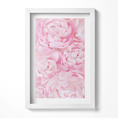 Keretezett kép Rózsaszínű virágok peóniák