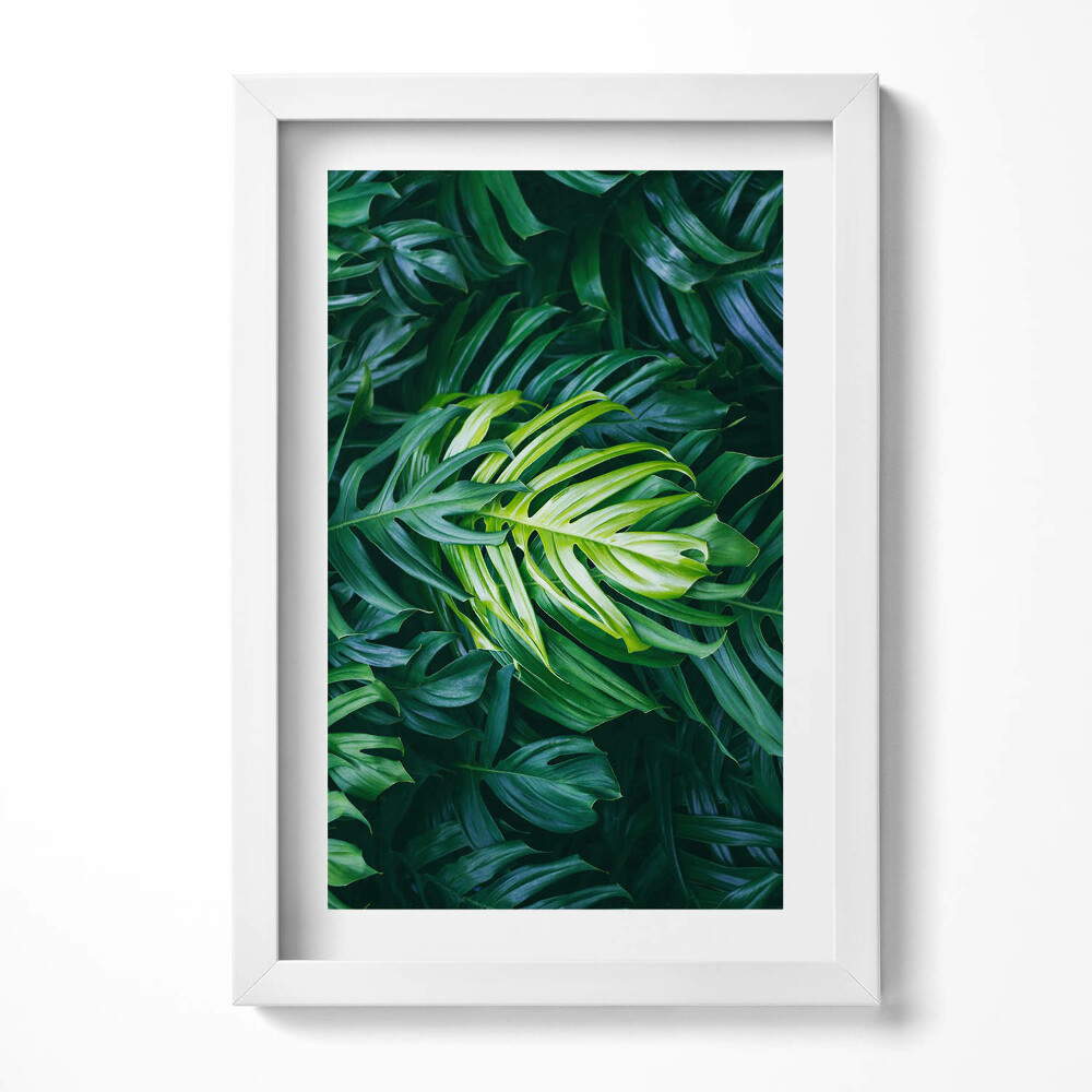 Keretezett kép Zöld levelek mintázata