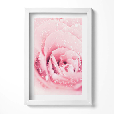 Keretezett kép Rózsás virág vízcseppekkel