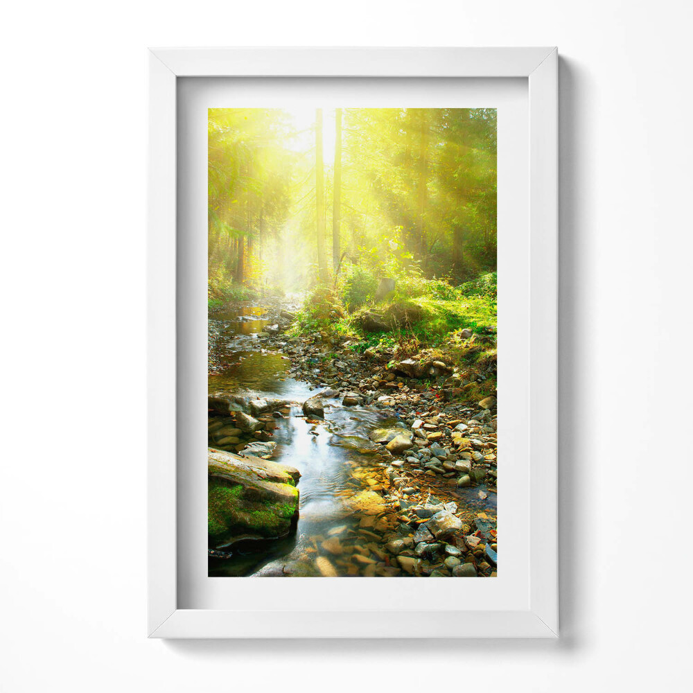 Keretezett kép Zöld erdő napfény patak