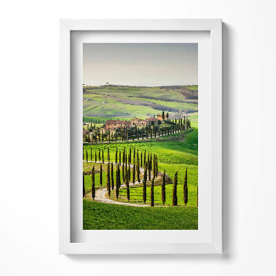 Keretezett kép Toszkán táj ciprusfák sorai