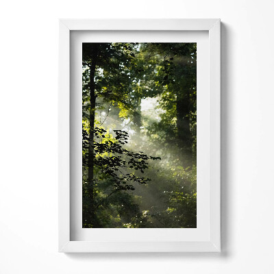Keretezett kép Fák és fény a természetben
