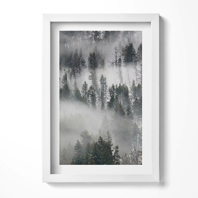 Keretezett kép Ködös erdő táj