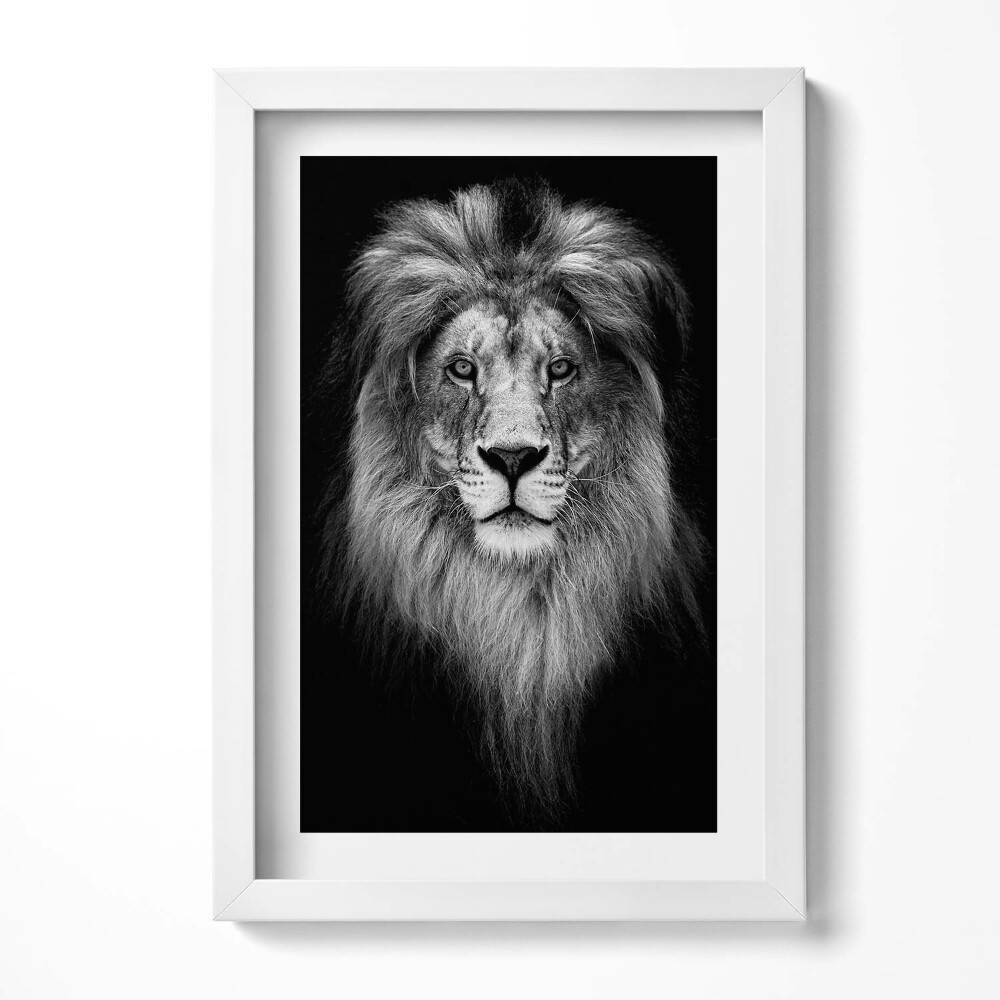 Keretezett kép Fekete-fehér oroszlánportré