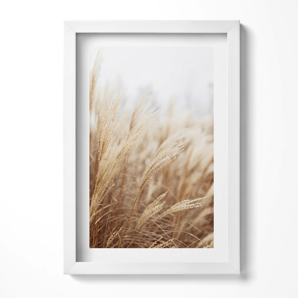 Keretezett kép Száraz fű a természetben