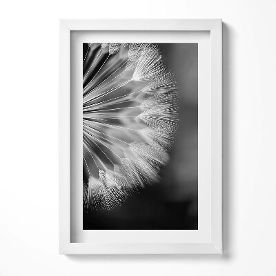 Keretezett kép Dandelion magok részlete