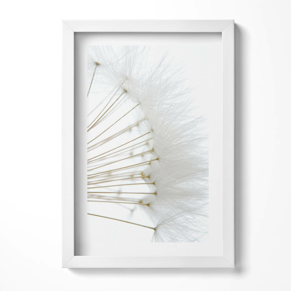 Keretezett kép Fehér pihés virágok