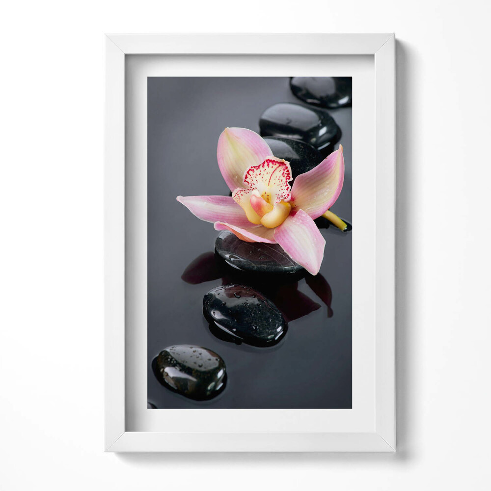 Keretezett kép Rózsaszín virág és fekete kövek