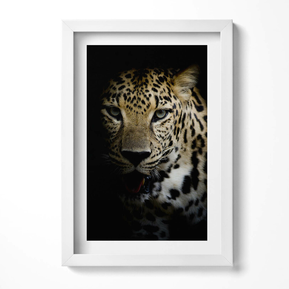 Keretezett kép Leopárd arca sötét háttérrel