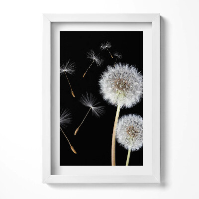 Keretezett kép Pipacsok és lebegő magok