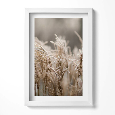 Keretezett kép Fagyott fűszálak természetes táj