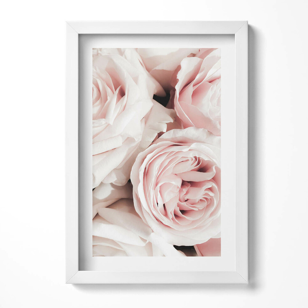 Keretezett kép Rózsák finom árnyalatokban