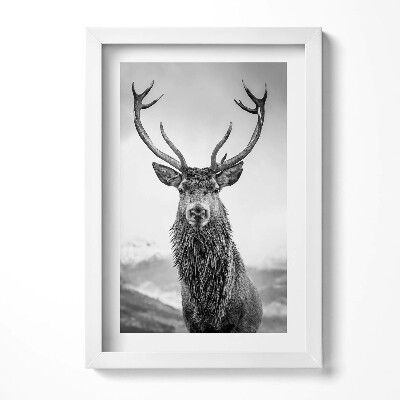 Keretezett kép Szarvas portréja fekete-fehérben