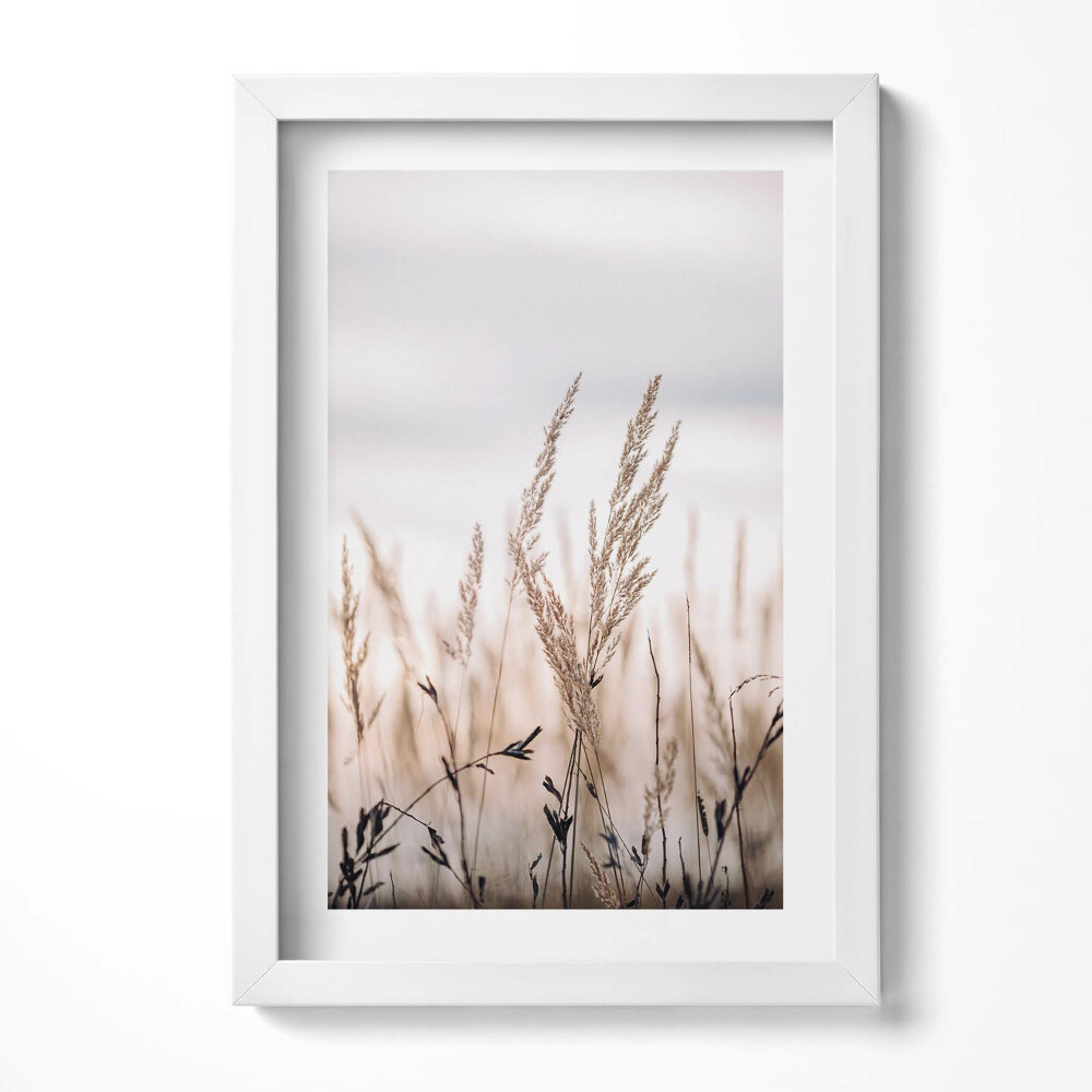 Keretezett kép Száraz fű a háttérben