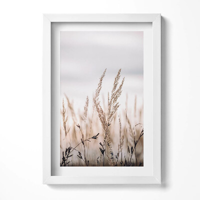 Keretezett kép Száraz fű a háttérben