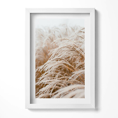Keretezett kép Száraz fű harmatos reggel