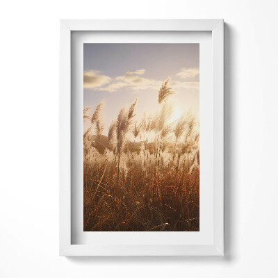 Keretezett kép Naplemente és nádas