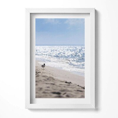 Keretezett kép Tengerparti táj madár a homokban