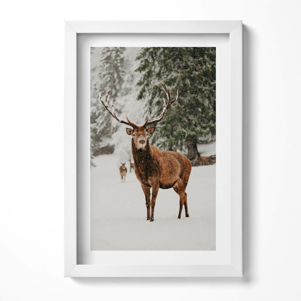 Keretezett kép Szarvas hóesésben