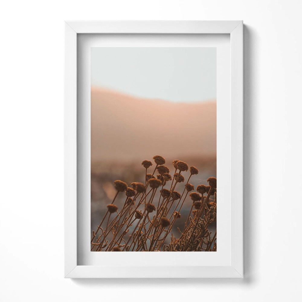 Keretezett kép Száradó virágok a háttérben