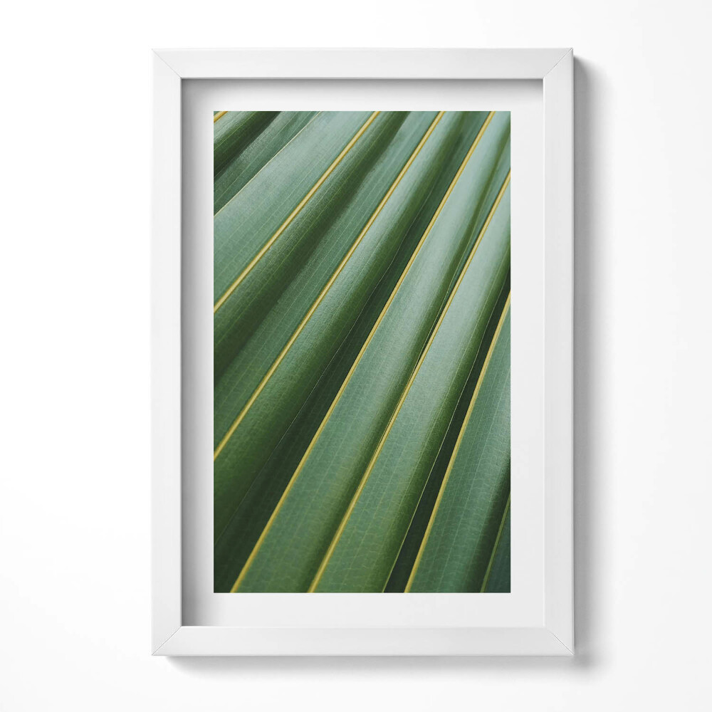 Keretezett kép Zöld levelek párhuzamos vonalak