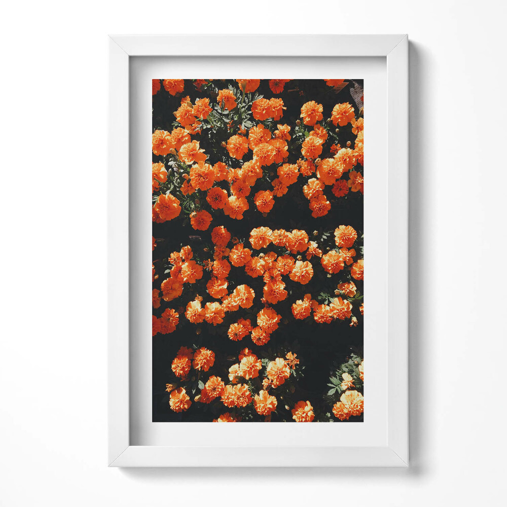 Keretezett kép Narancssárga virágok tömege