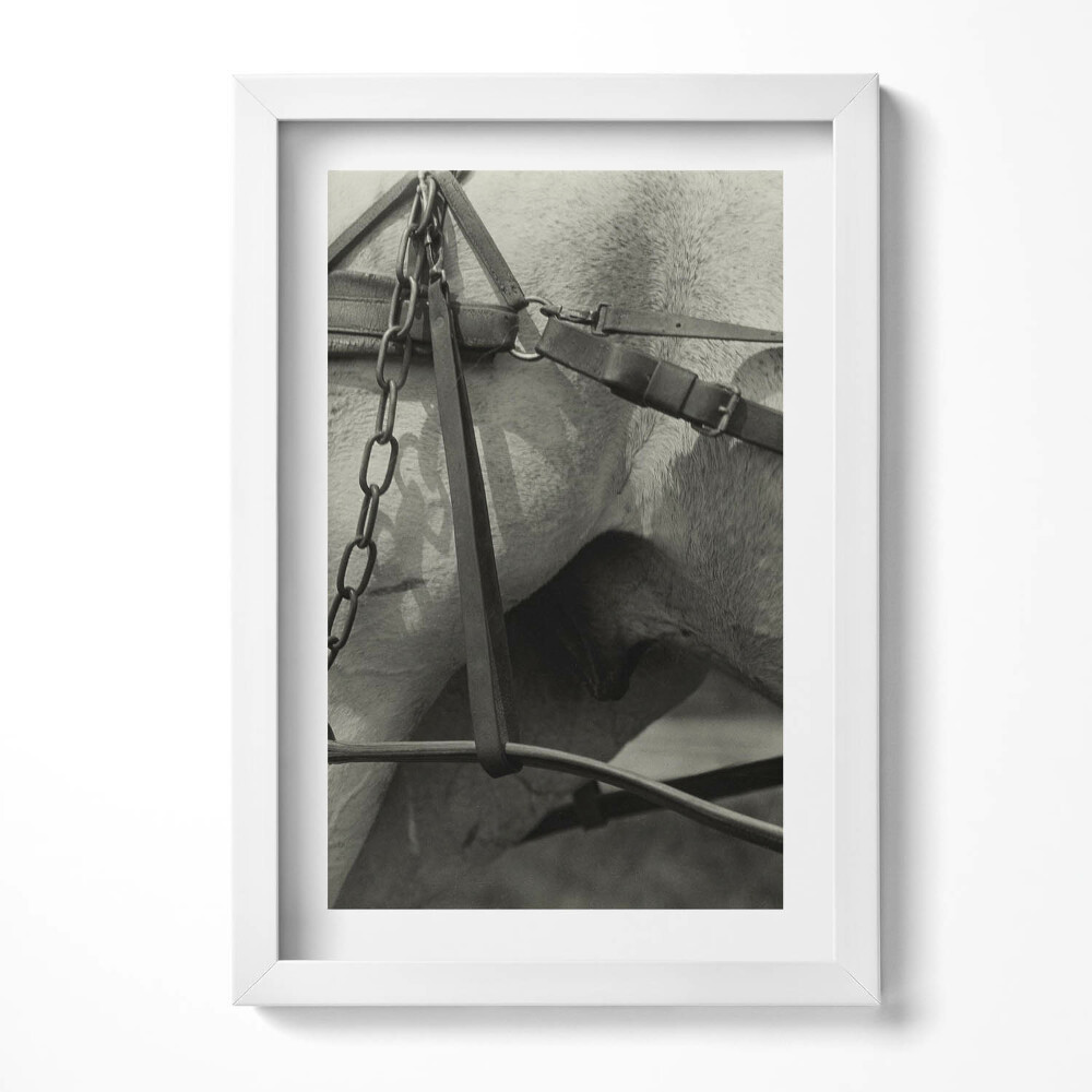 Keretezett kép Ló és hám részlete