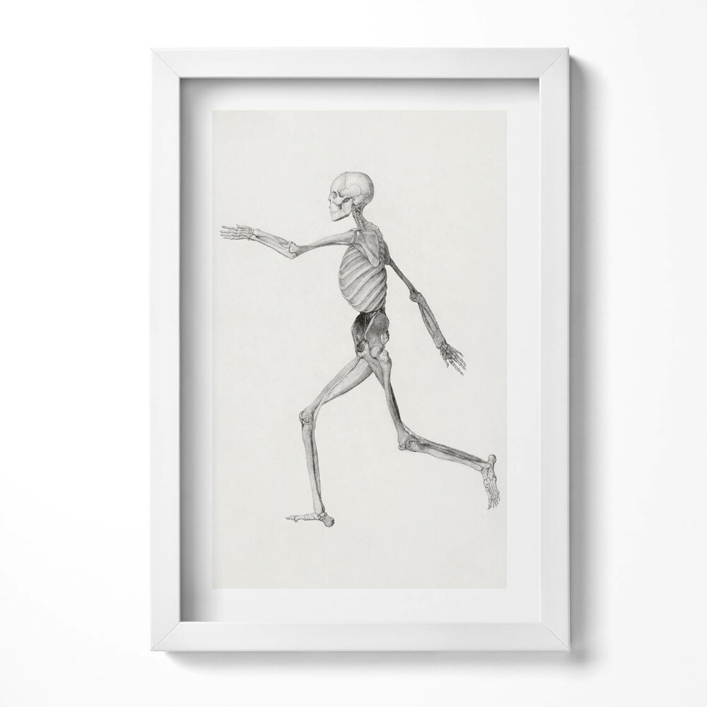 Keretezett kép Futó emberi csontváz