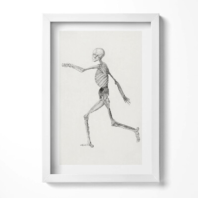 Keretezett kép Futó emberi csontváz