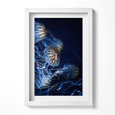 Keretezett kép Medúzák sötét háttér előtt