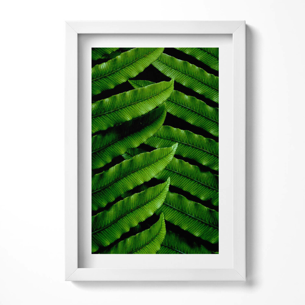 Keretezett kép Zöld levelek mintázata