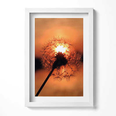 Keretezett kép Naplemente egy pitypang mögött