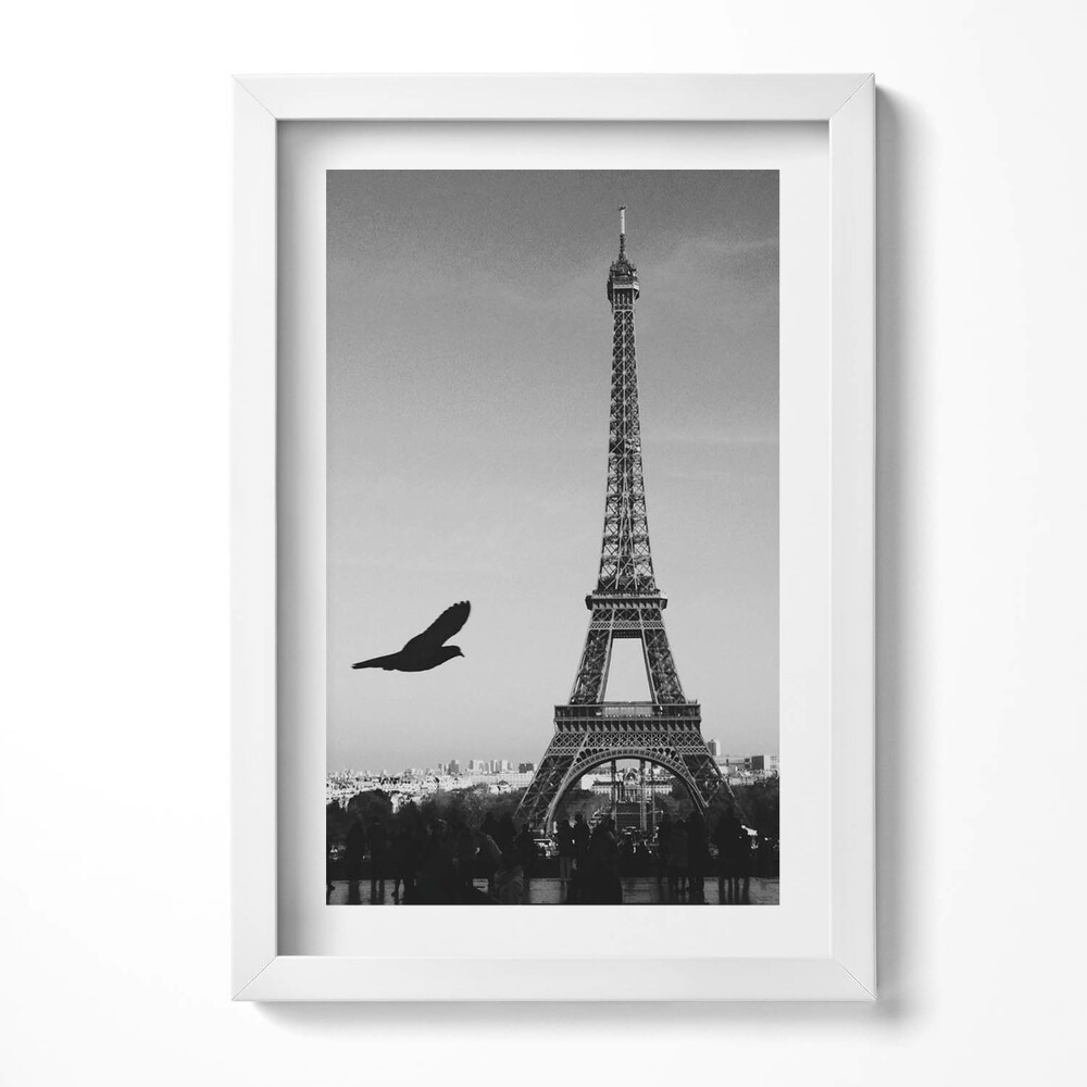 Keretezett kép Eiffel-torony és madár