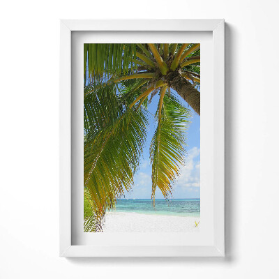 Keretezett kép Trópusi tengerpart pálmafával