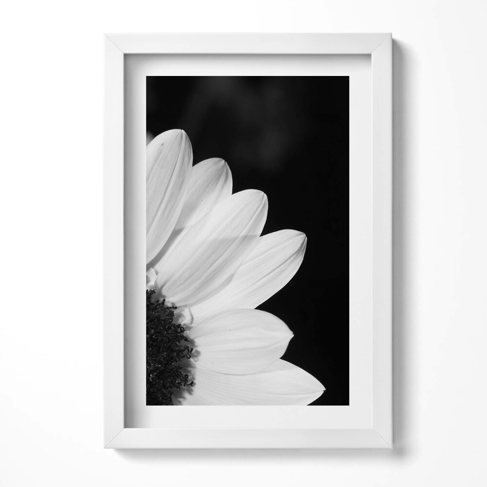 Keretezett kép Fehér virágszirom részlete